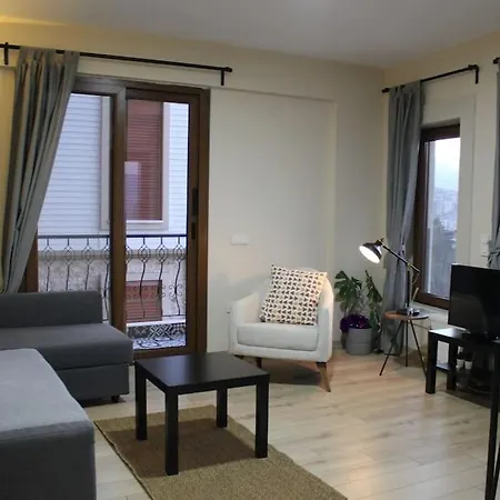 Apartment Cozy In Center Of *